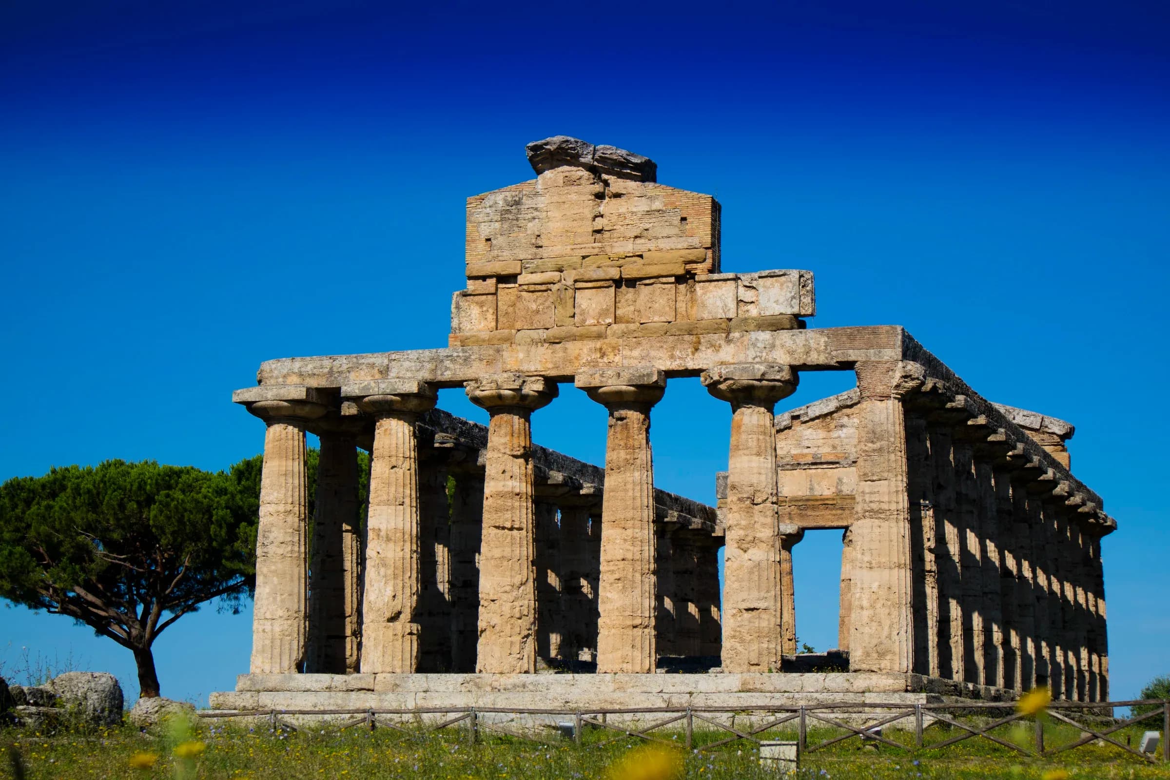 Excursion Paestum and Mozzarella Factory