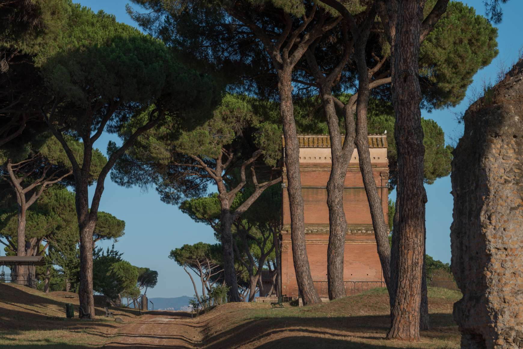 View of trees along the Appian Way in Rome