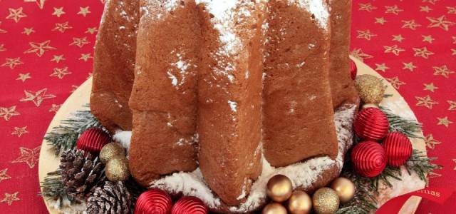 Beautifully decorated Italian bundt holiday cake