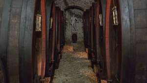 Castello Banfi wine cellar with barrels lining the walls