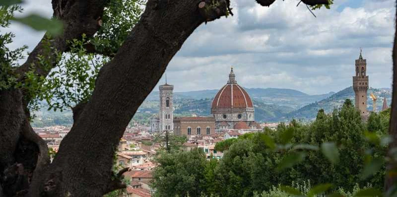 Distant view of Florence Italy through the trees